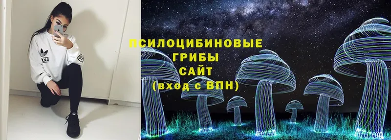 что такое   Тобольск  Псилоцибиновые грибы Magic Shrooms 